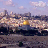 фото из отзыва ID 74407