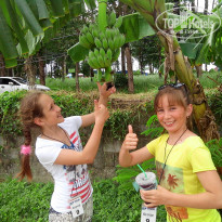 фото из отзыва ID 745039