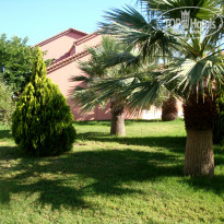 фото из отзыва ID 745120