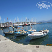 фото из отзыва ID 745231