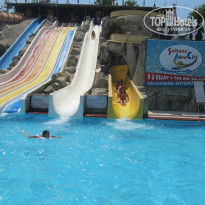 фото из отзыва ID 745231