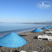 фото из отзыва ID 745231