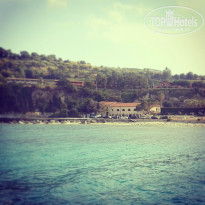 фото из отзыва ID 745245