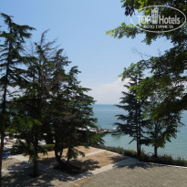 фото из отзыва ID 745370