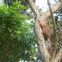 фото из отзыва ID 745370