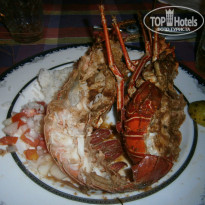 фото из отзыва ID 745402