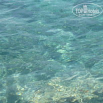 фото из отзыва ID 745448