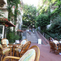 фото из отзыва ID 745533