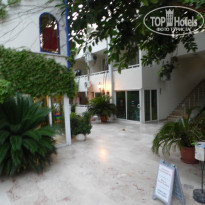 фото из отзыва ID 745533