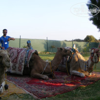 фото из отзыва ID 745561