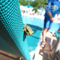 фото из отзыва ID 745117