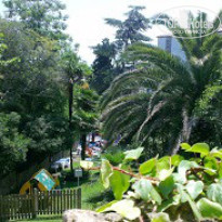 фото из отзыва ID 745884