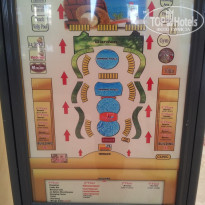 фото из отзыва ID 745896