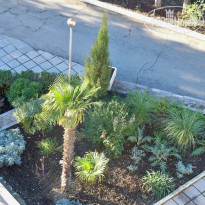 фото из отзыва ID 746050