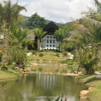 фото из отзыва ID 746263