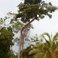 фото из отзыва ID 746263