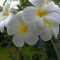 фото из отзыва ID 746263