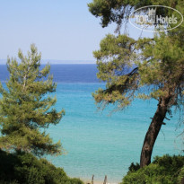 фото из отзыва ID 746334