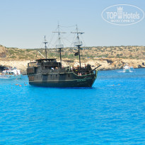 фото из отзыва ID 746377