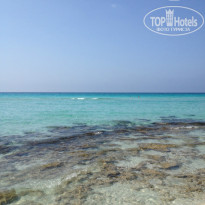 фото из отзыва ID 746377