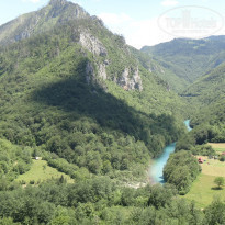 фото из отзыва ID 746618