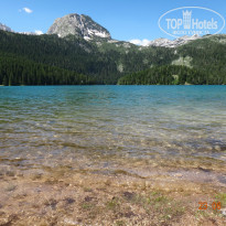 фото из отзыва ID 746618