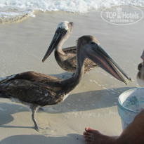 фото из отзыва ID 746749