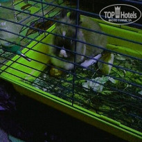 фото из отзыва ID 746708