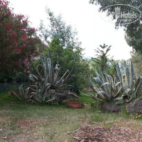 фото из отзыва ID 746813