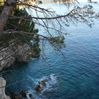 фото из отзыва ID 746861