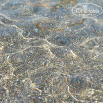 фото из отзыва ID 746861