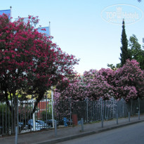 фото из отзыва ID 746873