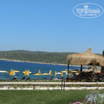 фото из отзыва ID 746952