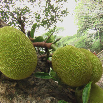 фото из отзыва ID 746968