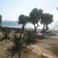 фото из отзыва ID 746591