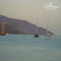 фото из отзыва ID 747435