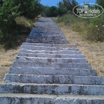 фото из отзыва ID 747439