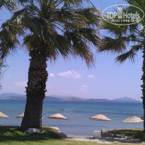 фото из отзыва ID 747439