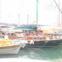 фото из отзыва ID 747439