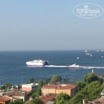 фото из отзыва ID 747521