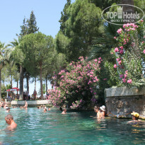 фото из отзыва ID 747525