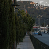 фото из отзыва ID 747639