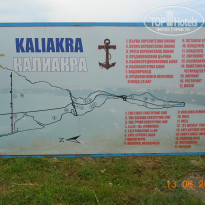 фото из отзыва ID 747681