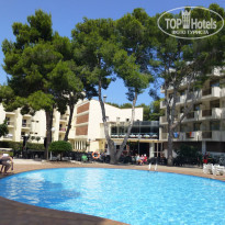 фото из отзыва ID 747656