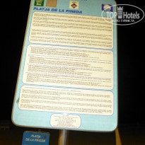 фото из отзыва ID 747656