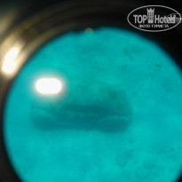 фото из отзыва ID 747718