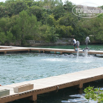 фото из отзыва ID 747718