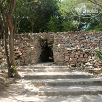 фото из отзыва ID 747718