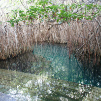 фото из отзыва ID 747718