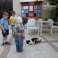 фото из отзыва ID 747906